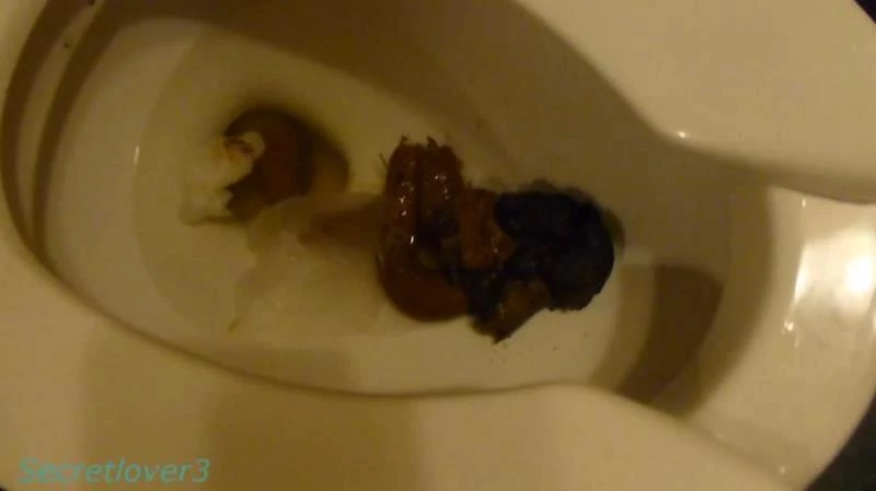 Multicolored Shit Explosion With Tons Of Farts And Pee - Secretlover3 - 1920x1080 [2024]