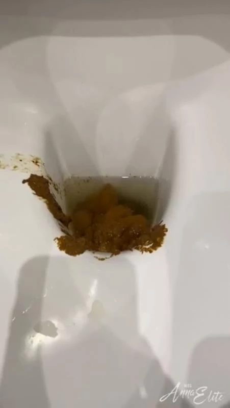 A big pile of shit in the toilet. P1 - HD [2024]